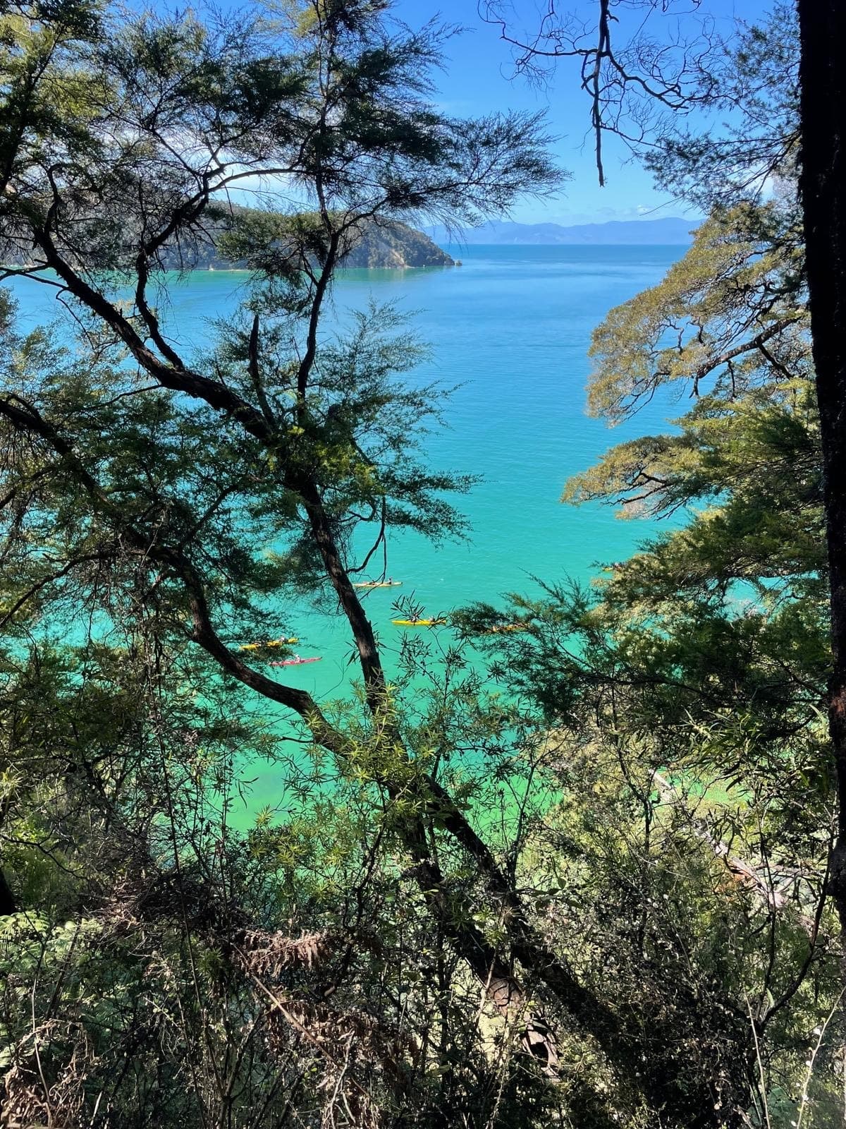 Spring NZ 15 Day Adventure Tour 